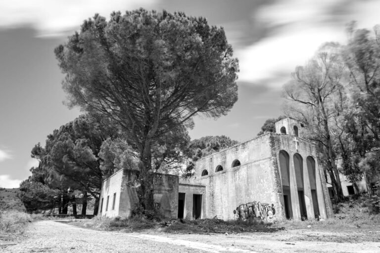 6a51ac85-22ab-4e6b-84ee-a731cada9753_rw_1920