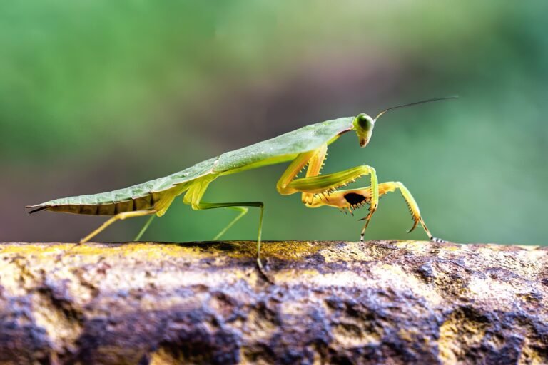 DSC8321-Migliorato-NR-Modifica-Modifica-scaled